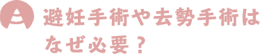 避妊手術や去勢手術はなぜ必要？