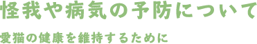 怪我や病気の予防について愛猫の健康を維持するために