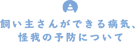 飼い主さんができる病気、怪我の予防について