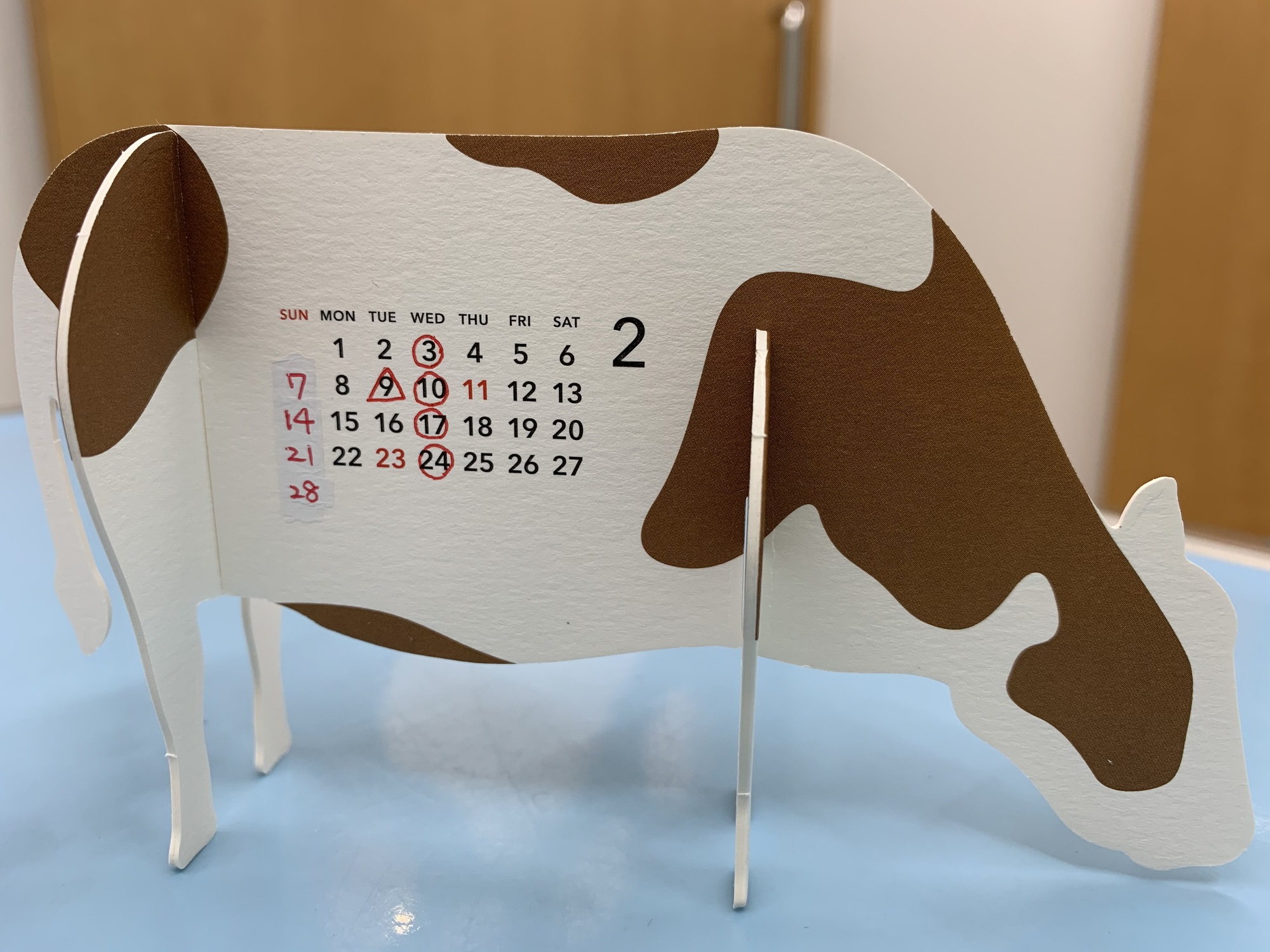 千葉県大森台で犬、猫、うさぎ、ハムスターの動物病院｜おに動物病院