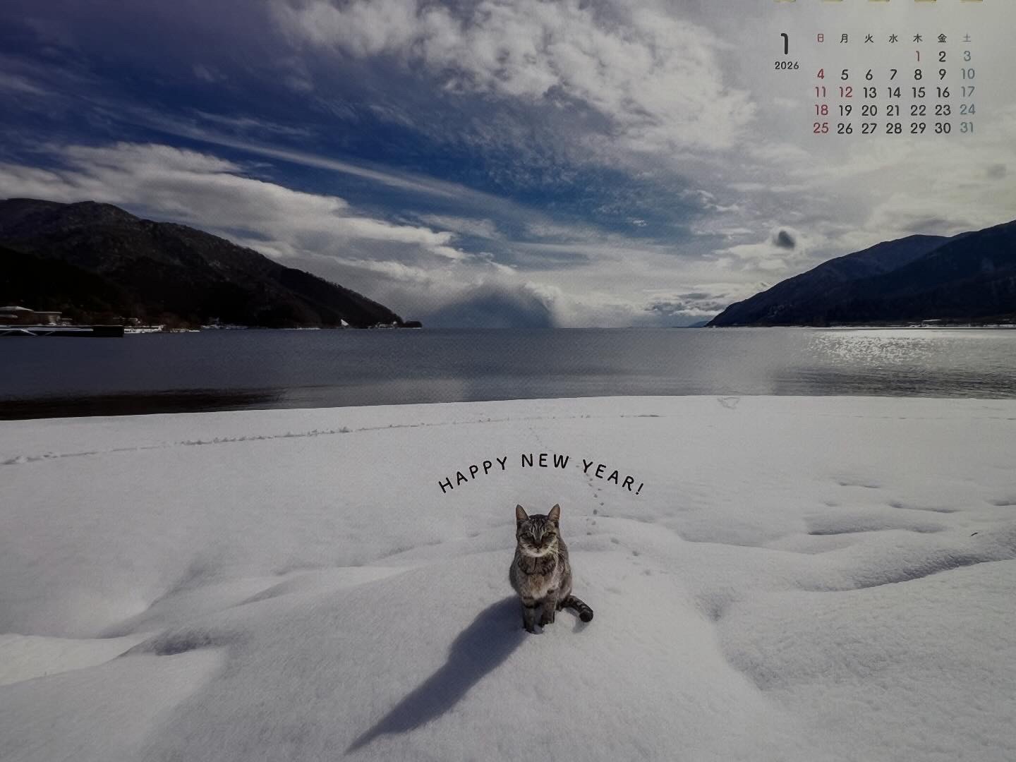 サムネイル画像