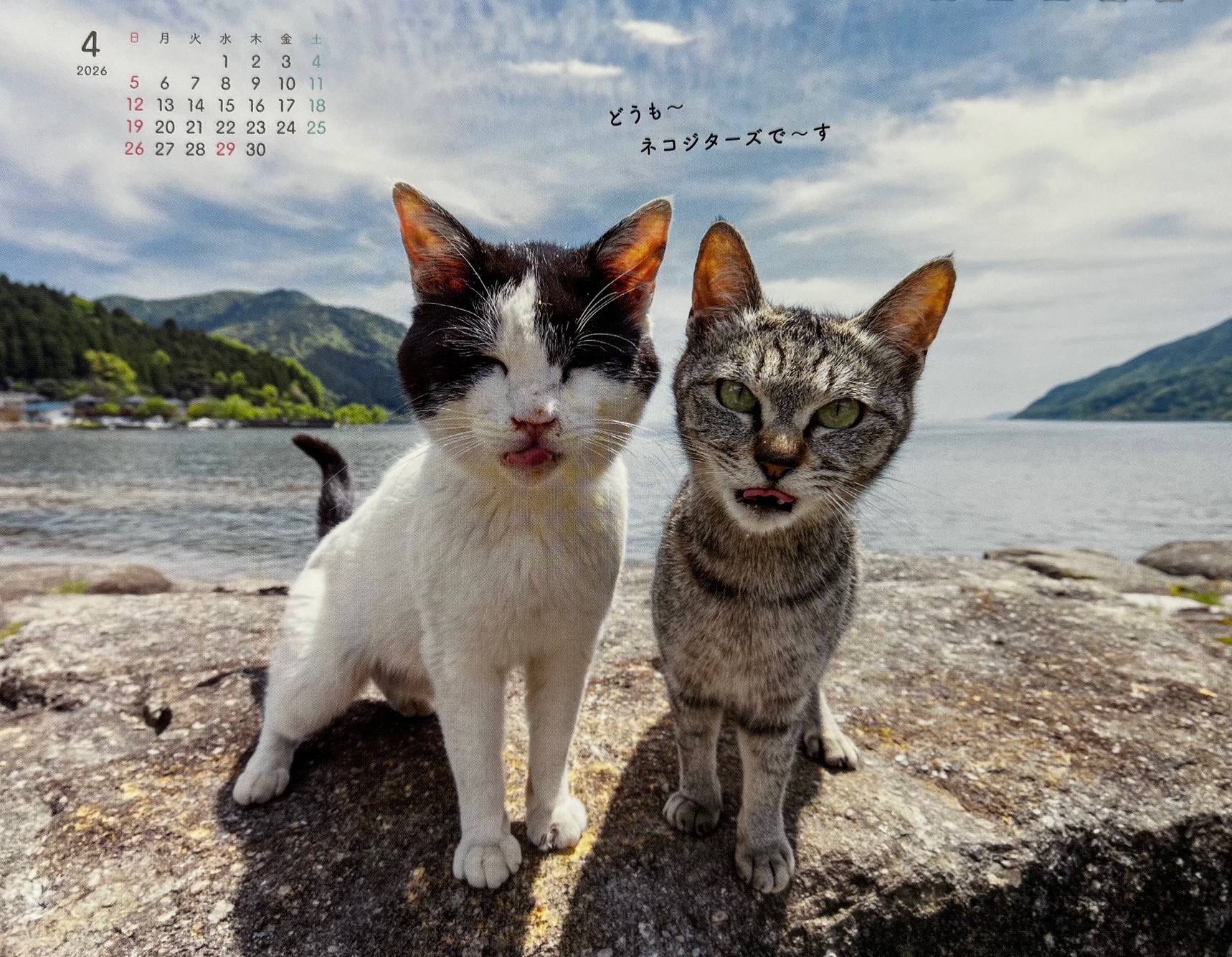 サムネイル画像